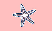 File:Flag SeaStar6.jpg