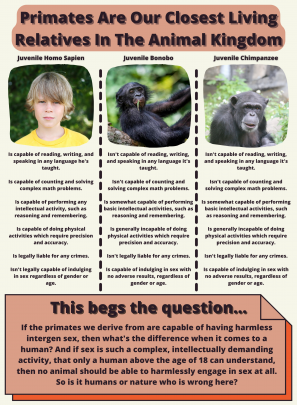 Human-Bonobo-Chimp finer comparison (animals, cognitive capacity, capability, minor-adult sex, science, animals, monkeys, species, learning)