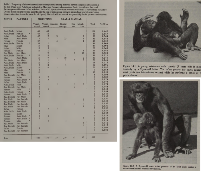 File:Bonobo1.png