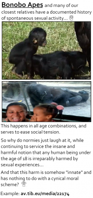 Bonobo Juveniles/infants enjoying sex play (animals, study, academic, practise, minor-adult sex, observation, science, monkeys, species, learning)