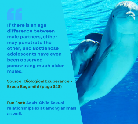 Adult-juvenile sex among Dolphins (animals, minor-adult sex, juvenile, similar, analogy, species, science, observation)