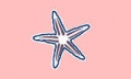 Sea Star 7