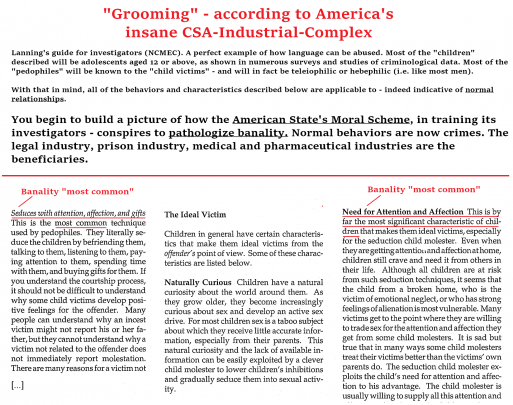 Analysis of NCMEC/Lanning Report pathologizing banality (grooming, feds, fbi, ncmec, minor-adult sex, law, americans)