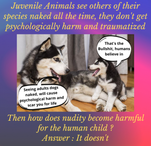 Dogs are always naked (nudity, bullshit, trauma, hysterical, morality, children, protection, graphic, americans, scarred, mental)