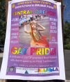 Fake pedophile pride poster[4]