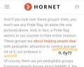 Hornet (a gay dating app) trying (and failing) to explain what MAP activism can be. Conversion Therapy irony-------⇒●